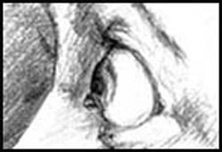 STORYBOARDS